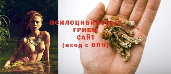 COCAINE Богданович