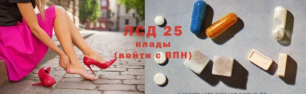 apvp Богородицк