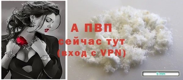 сатива Богородск