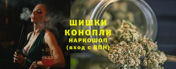 apvp Богородицк