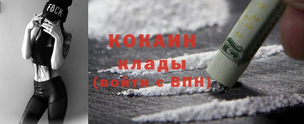 apvp Богородицк