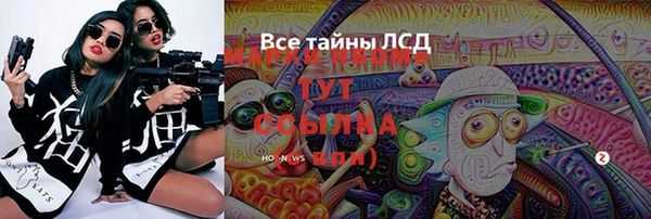 сатива Богородск