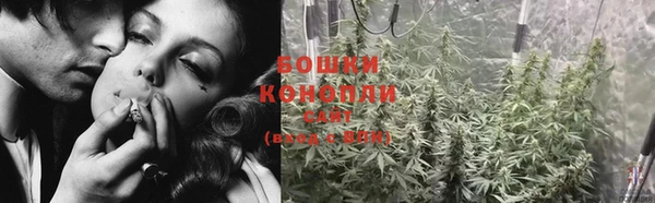 сатива Богородск