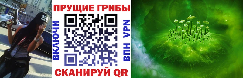 МЕГА вход  сколько стоит  Наро-Фоминск  Псилоцибиновые грибы мицелий 